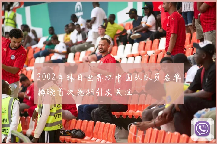 2002年韩日世界杯中国队队员名单揭晓首次亮相引发关注