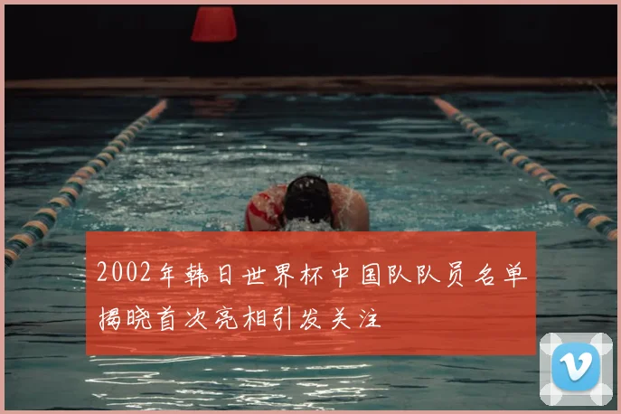 2002年韩日世界杯中国队队员名单揭晓首次亮相引发关注