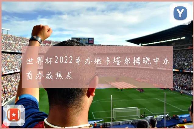 世界杯2022举办地卡塔尔揭晓中东首办成焦点