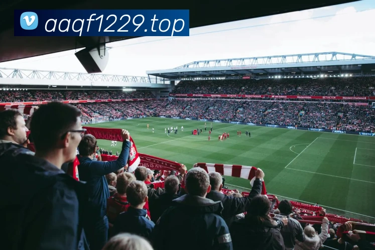 非凡体育官网首页全站App